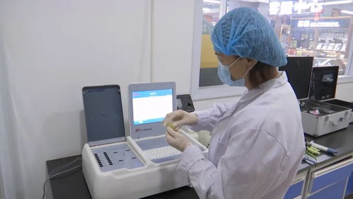 瓜州严把农产品质量安全关，让百姓“菜篮子”拎出幸福感