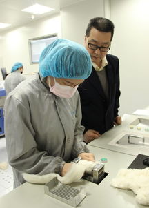 联盟快讯 | 邯郸纤检所服务地方产业发展，助力企业质量提升