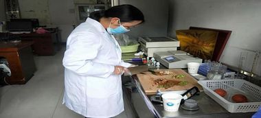 城北街道筑牢农产品质量安全防线 检验检测服务提质增效